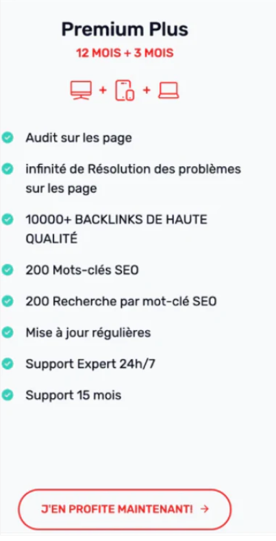 Flexe-pack : Premium Plus 12+3 mois